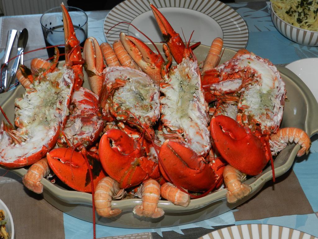Gite De Vacances - Cotes D Armor - Pluduno, Plancoet Номер фото